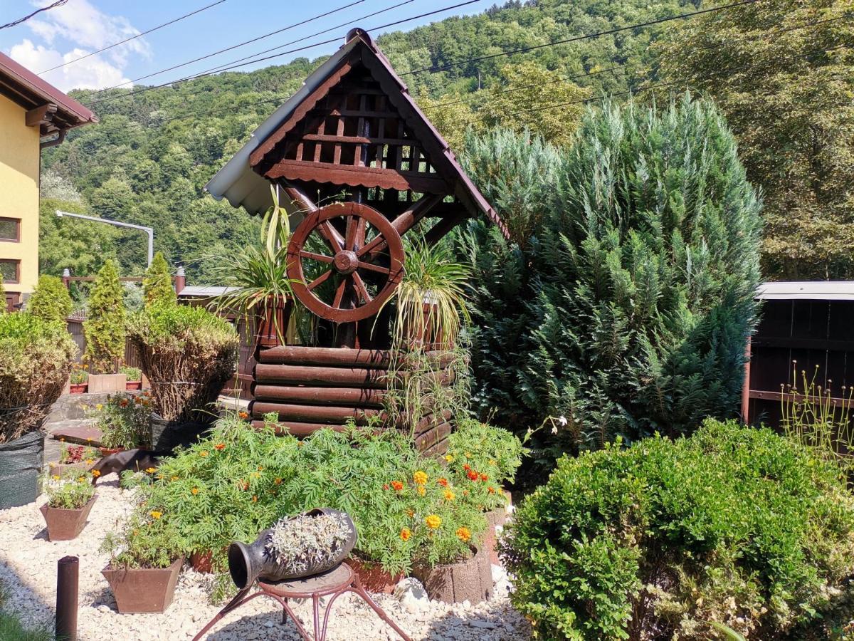 Shelby Accommodation -Adult Only- Sinaia Bagian luar foto