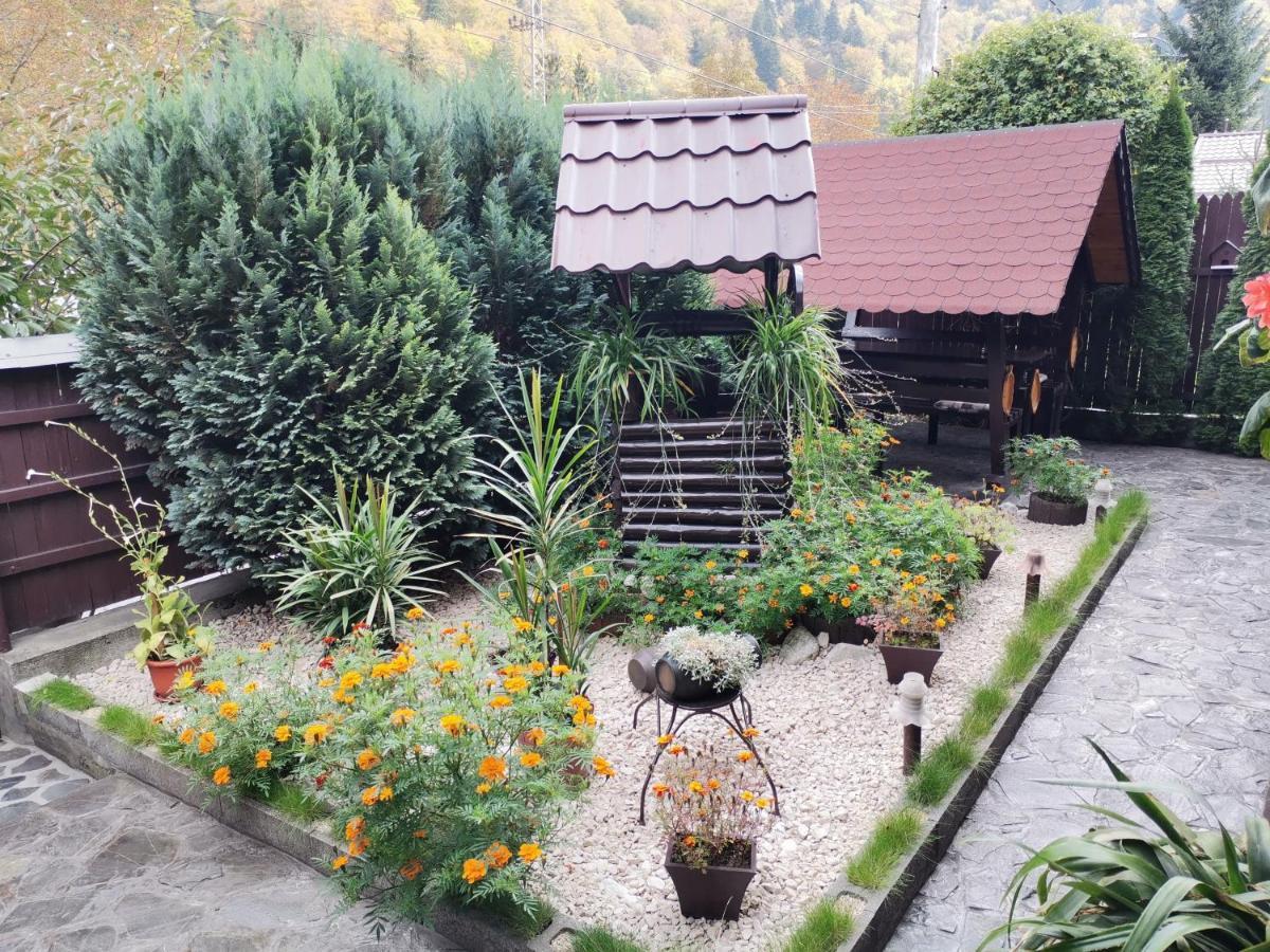 Shelby Accommodation -Adult Only- Sinaia Bagian luar foto